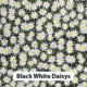 Black White Daisys