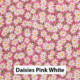 Daisies Pink White